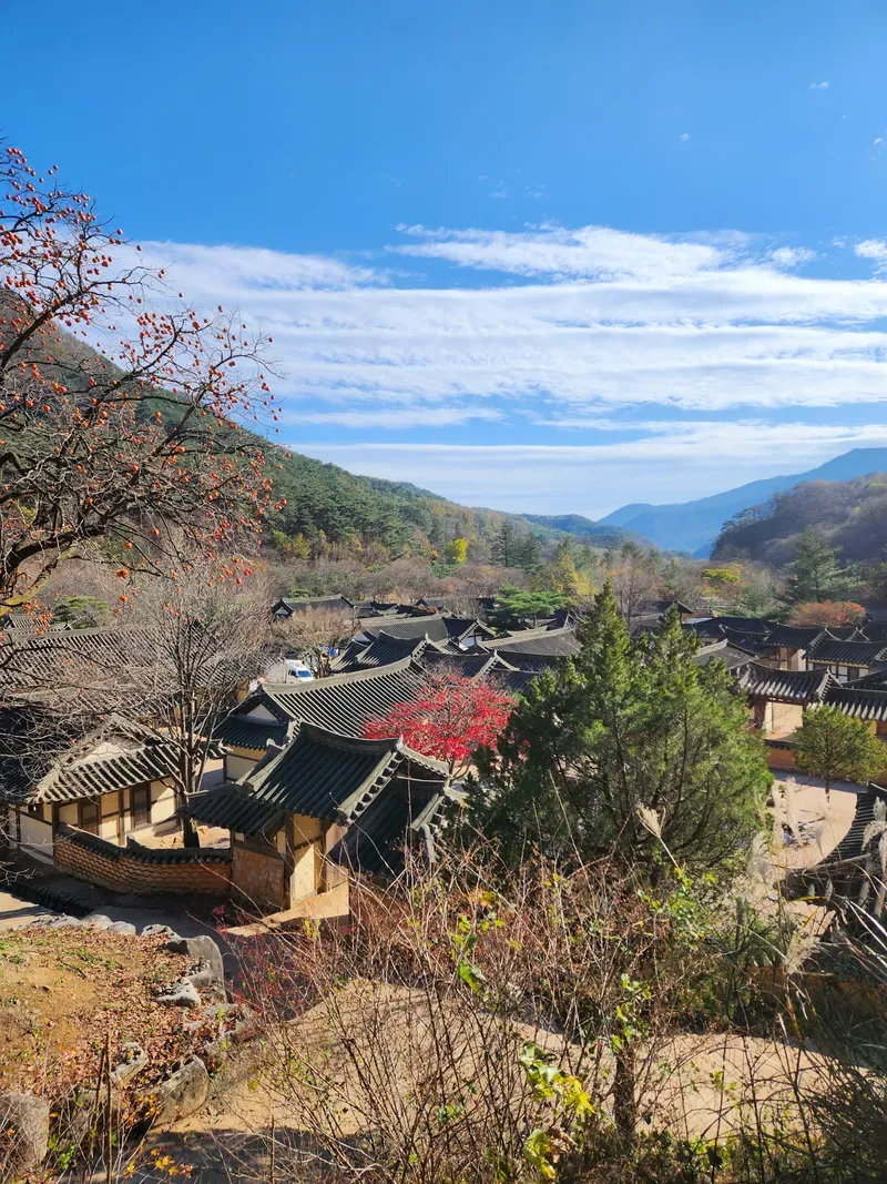 경북 문경시 문경읍 새재로 932