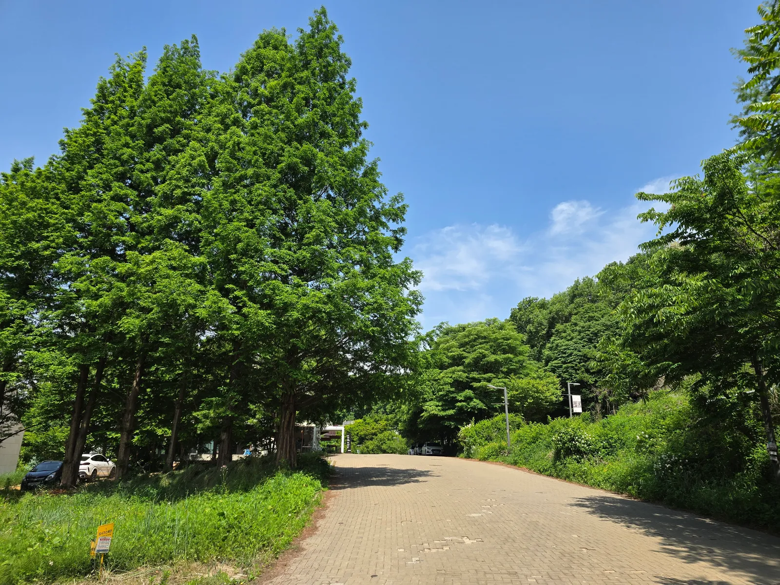 KakaoTalk_20260518_100710978_08.jpg