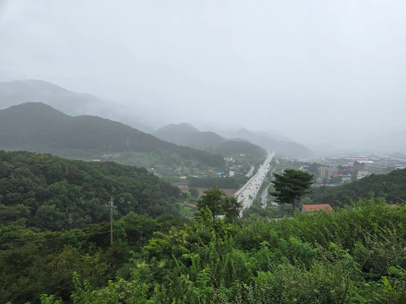 파인힐 커피하우스에서 바라본 안개 낀 산 풍경