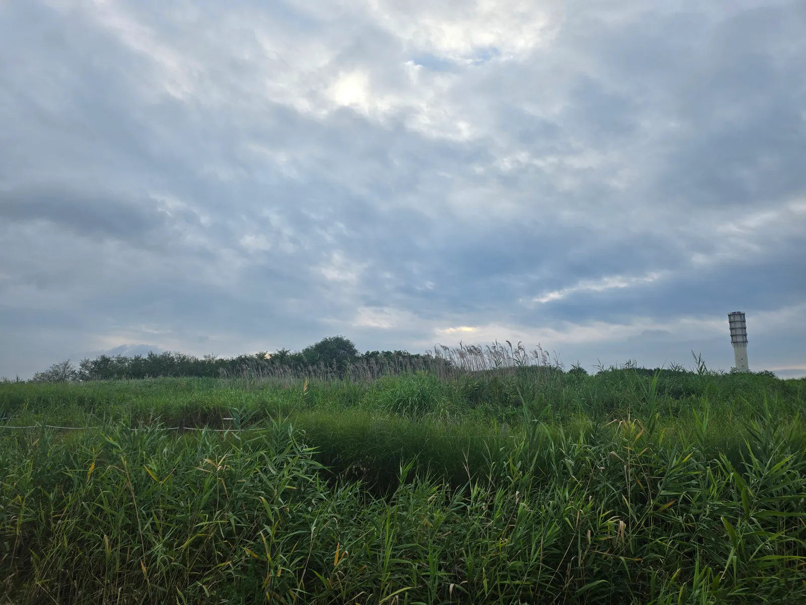 서울 마포구 상암동 481-72