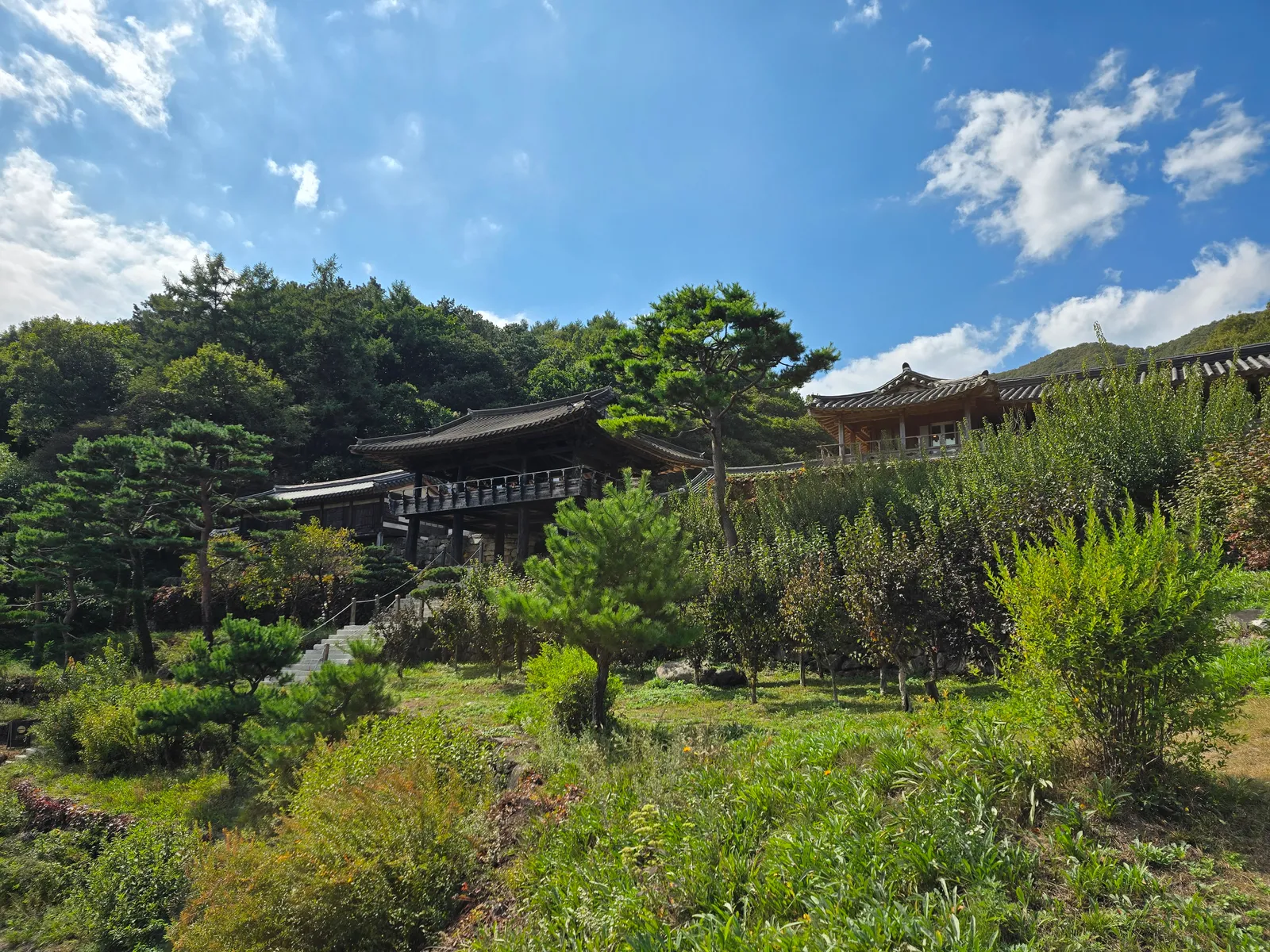용인 대장금파크 무량수전을 밑에서 바라본 풍경
