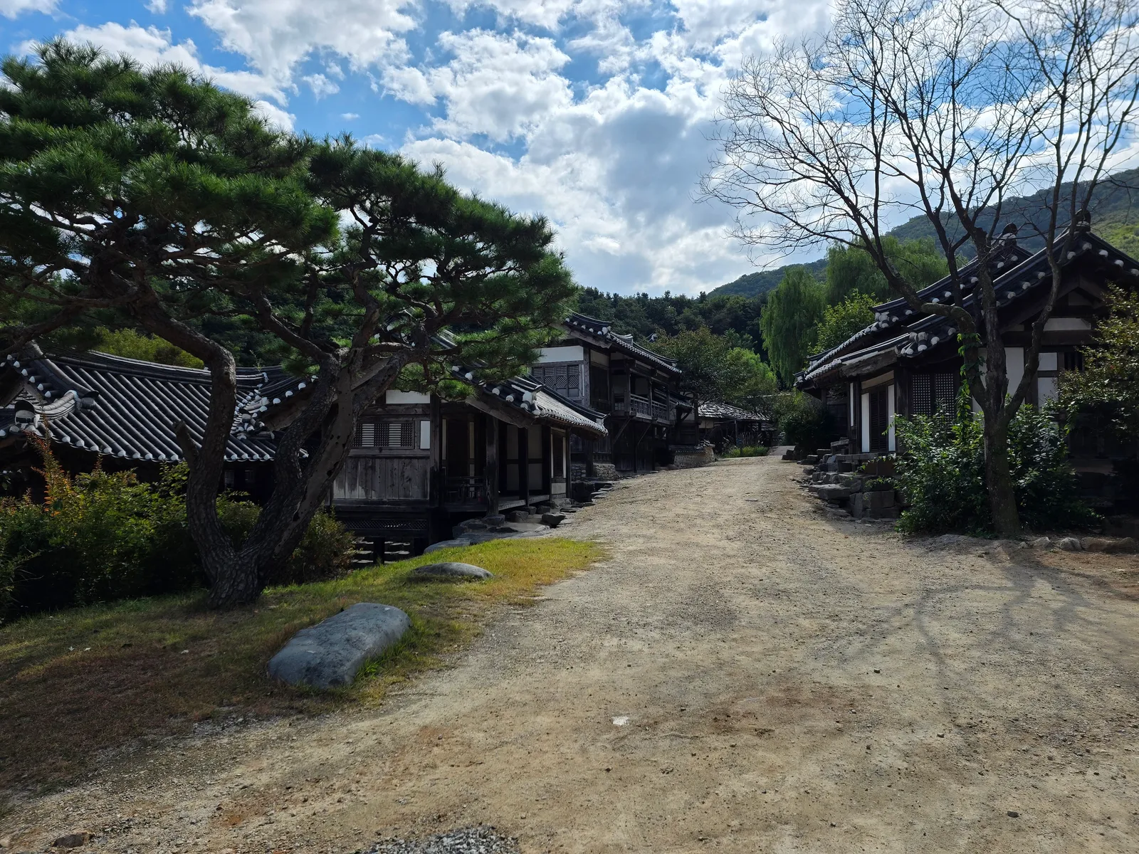 용인 대장금파크 내부 풍경 2