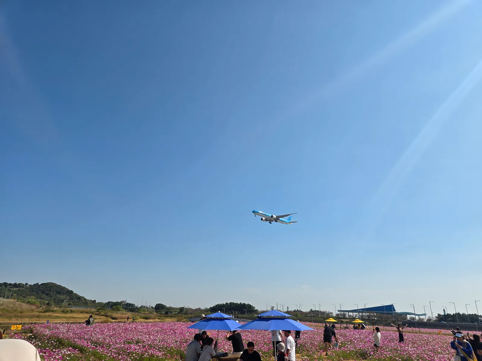 하늘정원 착륙하는 대한항공 비행기